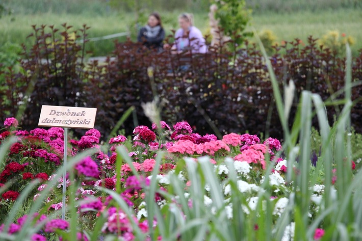 Żalno: Otworzyli kwiatowy zakątek - ZDJĘCIA