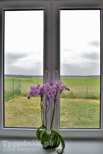 Gmina Cekcyn: Otwarcie świetlicy w Brzoziu - ZDJĘCIA