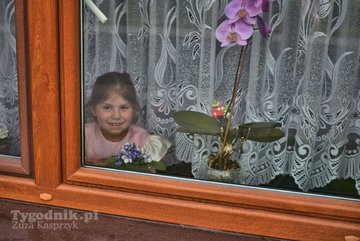 Noc świętojańska w Cekcynie - ZDJĘCIA część pierwsza