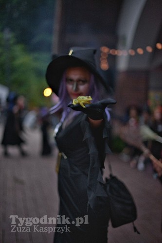 Noc świętojańska w Cekcynie - ZDJĘCIA część druga