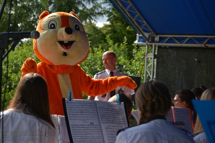 Festiwal orkiestr w Bysławku - ZDJĘCIA