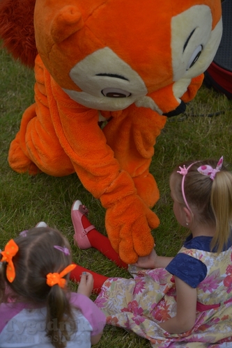 Festiwal orkiestr w Bysławku - ZDJĘCIA