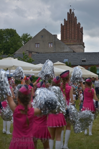Festiwal orkiestr w Bysławku - ZDJĘCIA
