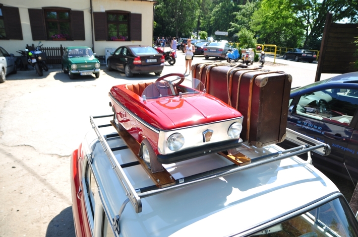 Tuchola: W niedzielę wystawa, w sobotę rajd - ZDJĘCIA