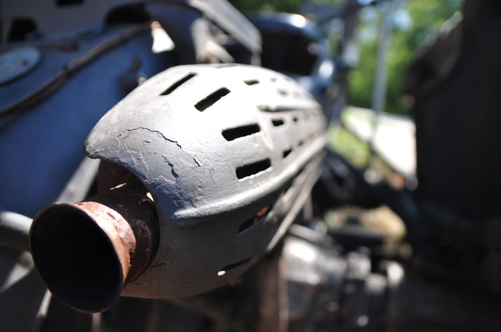 Tuchola: W niedzielę wystawa, w sobotę rajd - ZDJĘCIA