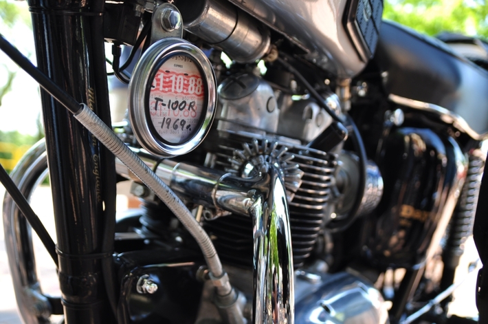 Tuchola: W niedzielę wystawa, w sobotę rajd - ZDJĘCIA