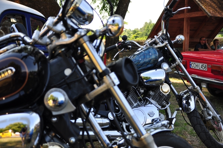 Tuchola: W niedzielę wystawa, w sobotę rajd - ZDJĘCIA