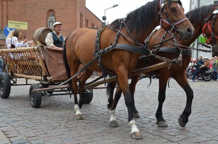 Tuchola: Pochód Borowiaków cz. II - ZDJĘCIA