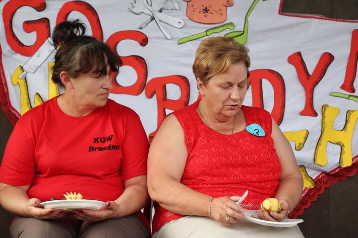 Gmina Śliwice: Turniej kół gospodyń wiejskich - ZDJĘCIA