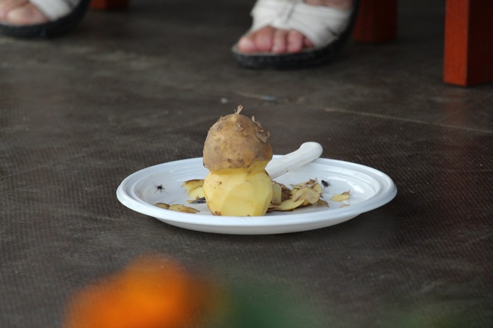 Gmina Śliwice: Turniej kół gospodyń wiejskich - ZDJĘCIA