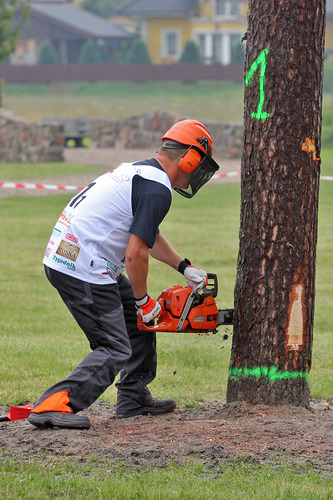 Super Drwal pod patronatem 