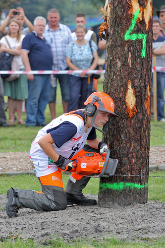 Super Drwal pod patronatem 