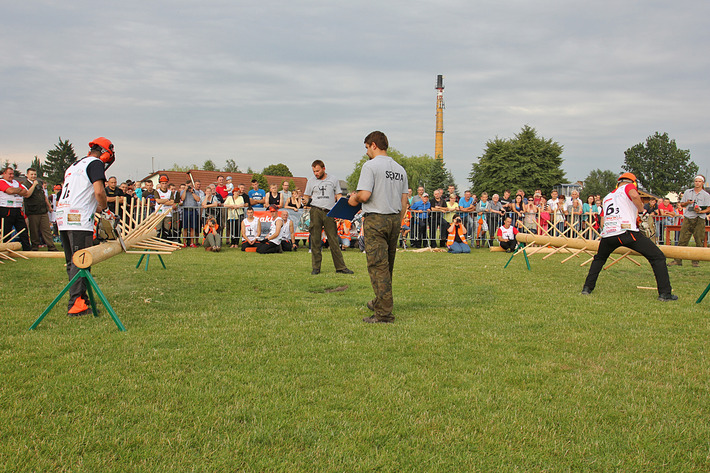 Super Drwal pod patronatem 