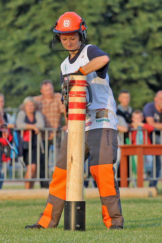 Super Drwal pod patronatem 