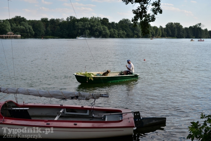 Cekcyniada w niedzielę - ZDJĘCIA część I