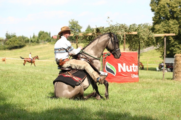 Śliwice: Piknik miłośników koni - ZDJĘCIA