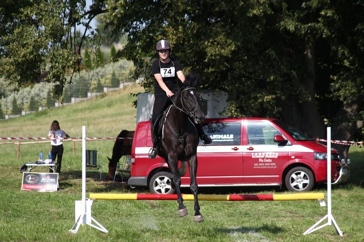 Śliwice: Piknik miłośników koni - ZDJĘCIA