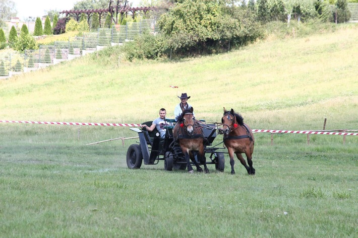 Śliwice: Piknik miłośników koni - ZDJĘCIA