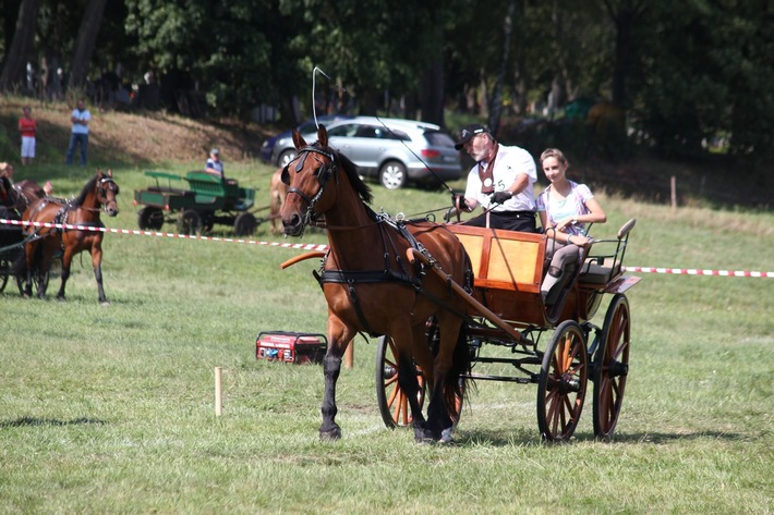 Śliwice: Piknik miłośników koni - ZDJĘCIA