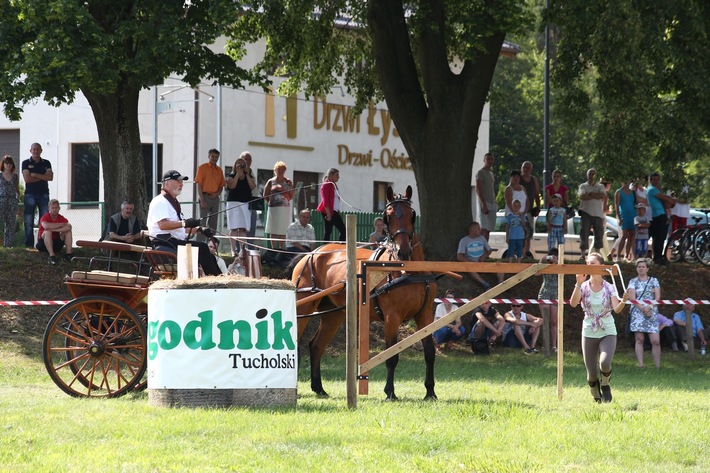 Śliwice: Piknik miłośników koni - ZDJĘCIA