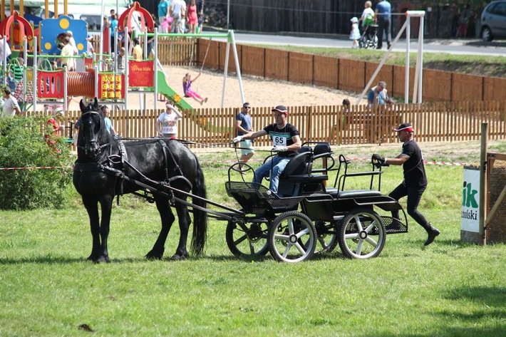 Śliwice: Piknik miłośników koni - ZDJĘCIA