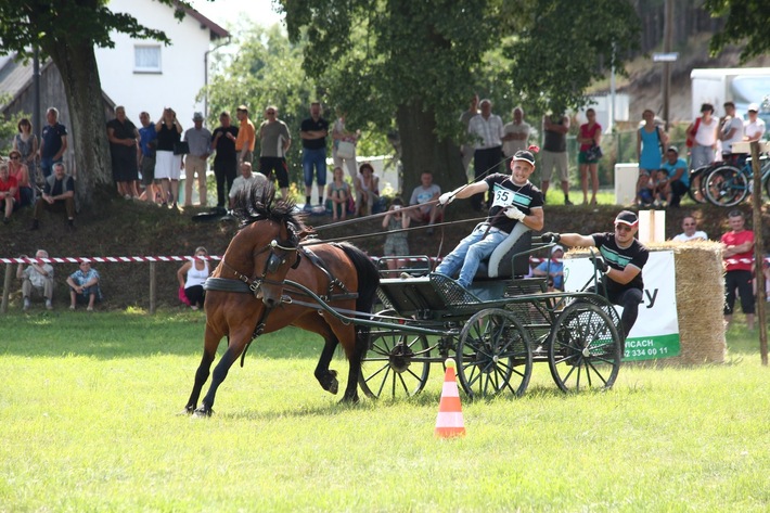 Śliwice: Piknik miłośników koni - ZDJĘCIA