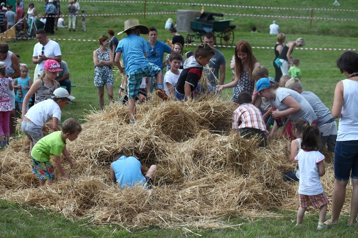 Śliwice: Piknik miłośników koni - ZDJĘCIA