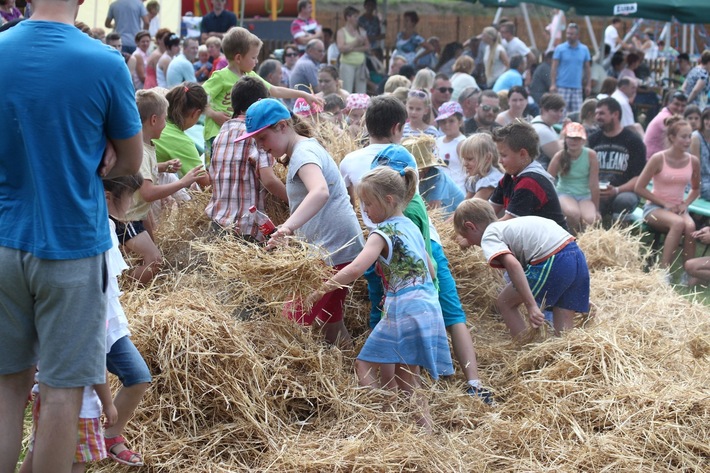 Śliwice: Piknik miłośników koni - ZDJĘCIA