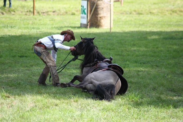Śliwice: Piknik miłośników koni - ZDJĘCIA