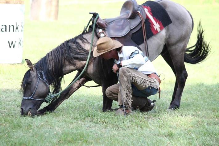 Śliwice: Piknik miłośników koni - ZDJĘCIA