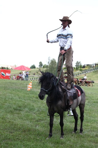 Śliwice: Piknik miłośników koni - ZDJĘCIA