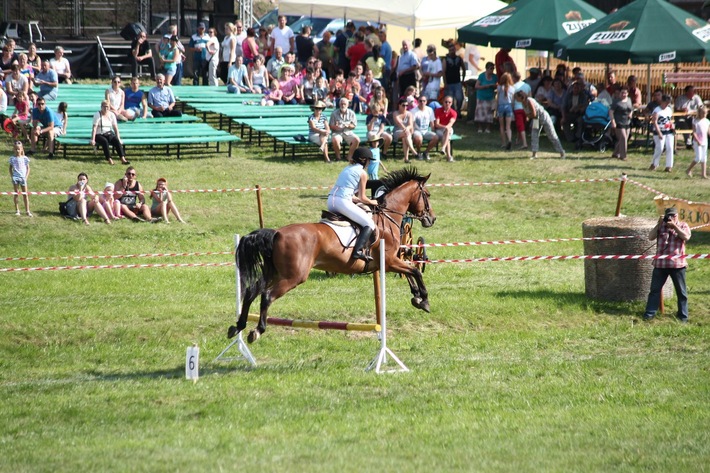 Śliwice: Piknik miłośników koni - ZDJĘCIA