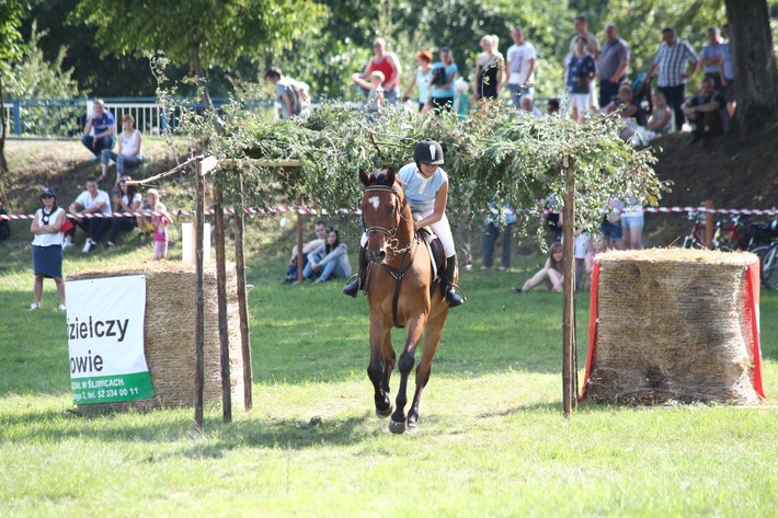 Śliwice: Piknik miłośników koni - ZDJĘCIA