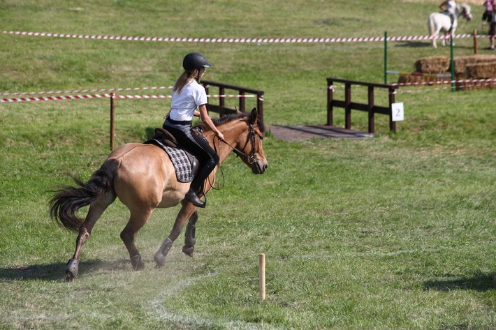 Śliwice: Piknik miłośników koni - ZDJĘCIA