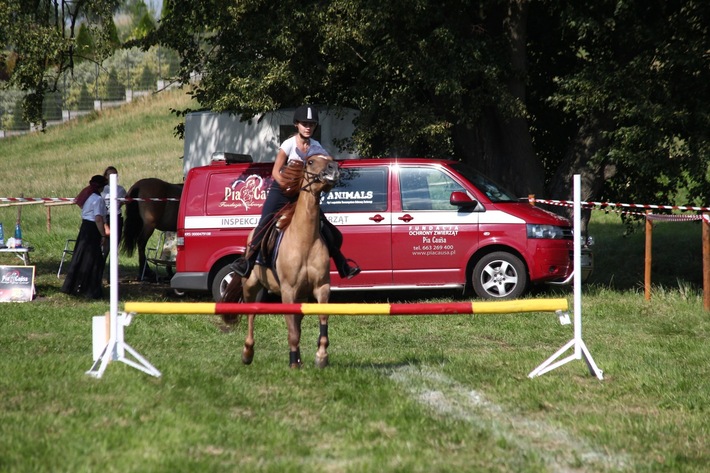 Śliwice: Piknik miłośników koni - ZDJĘCIA