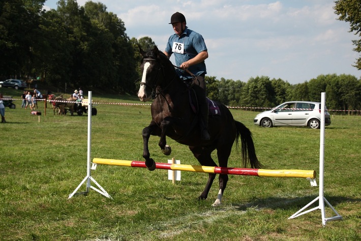 Śliwice: Piknik miłośników koni - ZDJĘCIA