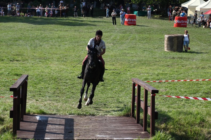 Śliwice: Piknik miłośników koni - ZDJĘCIA