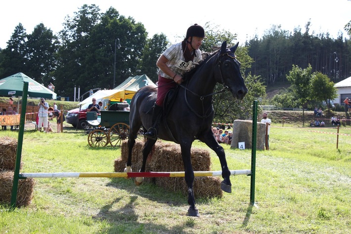 Śliwice: Piknik miłośników koni - ZDJĘCIA