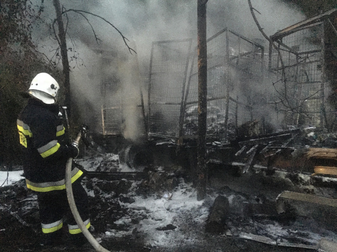 Wypadek pomiędzy Lubiewicami a Rykowiskiem - ZDJĘCIA