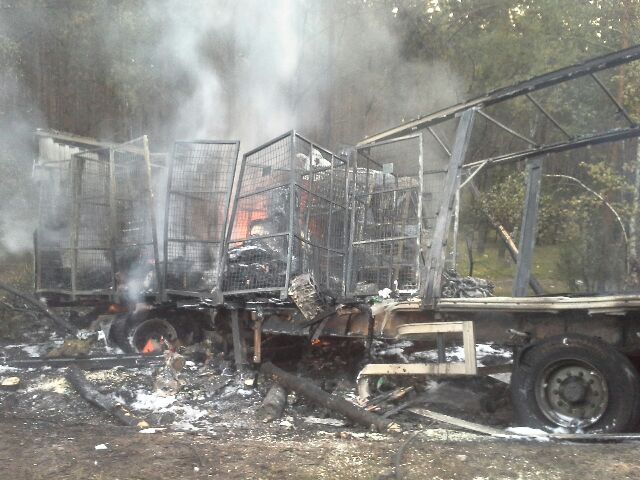 Wypadek pomiędzy Lubiewicami a Rykowiskiem - ZDJĘCIA