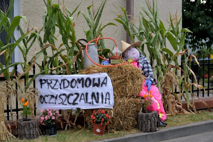 Gmina Lubiewo: Dożynki w Klonowie - ZDJĘCIA