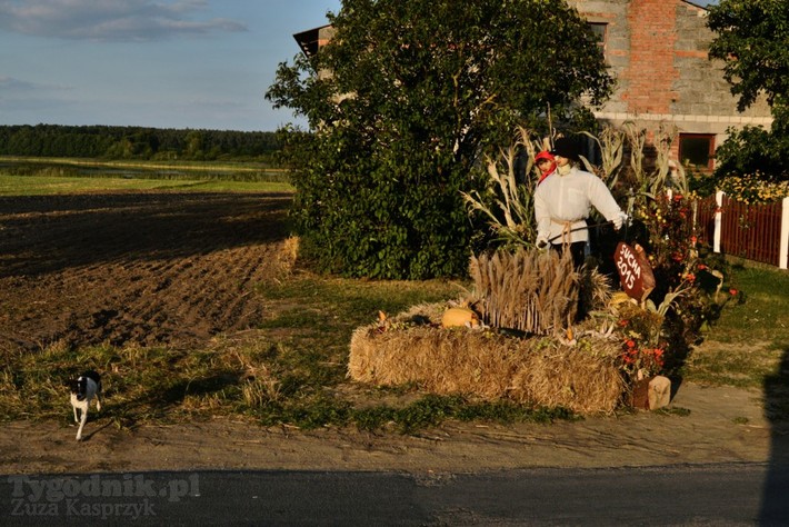 Gmina Lubiewo: Dożynki w Klonowie - ZDJĘCIA