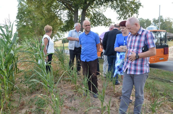 Powiat tucholski: Rolnicy liczą straty - ZDJĘCIA