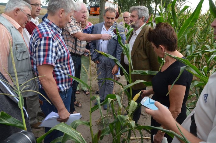 Powiat tucholski: Rolnicy liczą straty - ZDJĘCIA