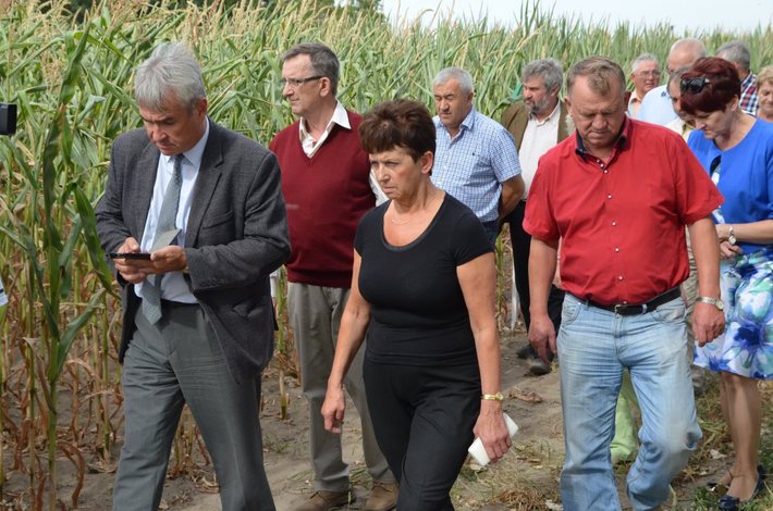 Powiat tucholski: Rolnicy liczą straty - ZDJĘCIA