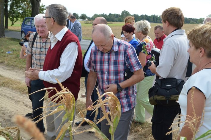 Powiat tucholski: Rolnicy liczą straty - ZDJĘCIA