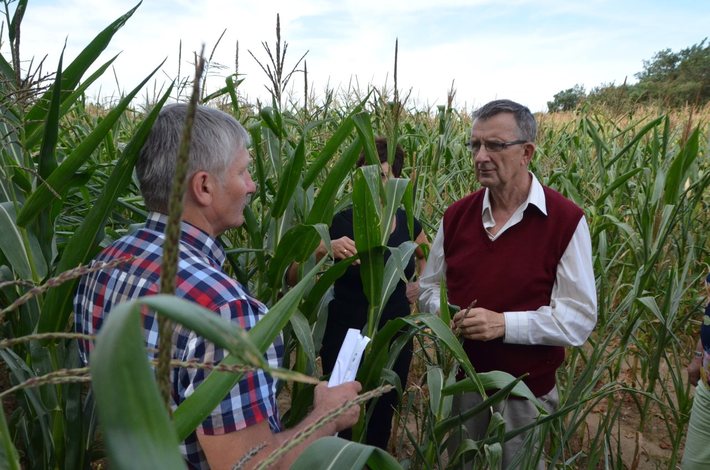 Powiat tucholski: Rolnicy liczą straty - ZDJĘCIA