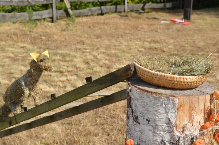 Gmina Śliwice: Dożynki w Brzeźnie - ZDJĘCIA