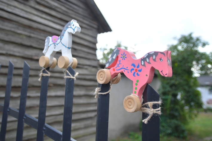 Gmina Śliwice: Dożynki w Brzeźnie - ZDJĘCIA