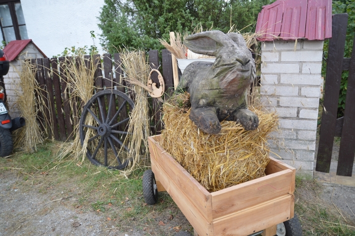 Gmina Śliwice: Dożynki w Brzeźnie - ZDJĘCIA